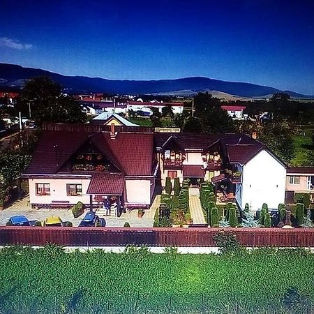 Pensiunea Denisa Sacalusesti Екстериор снимка